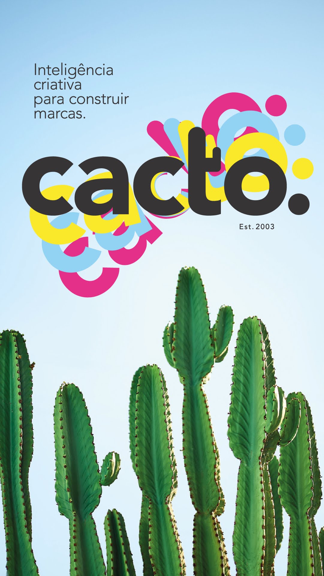 Cactos coloridos com identidade Cacto