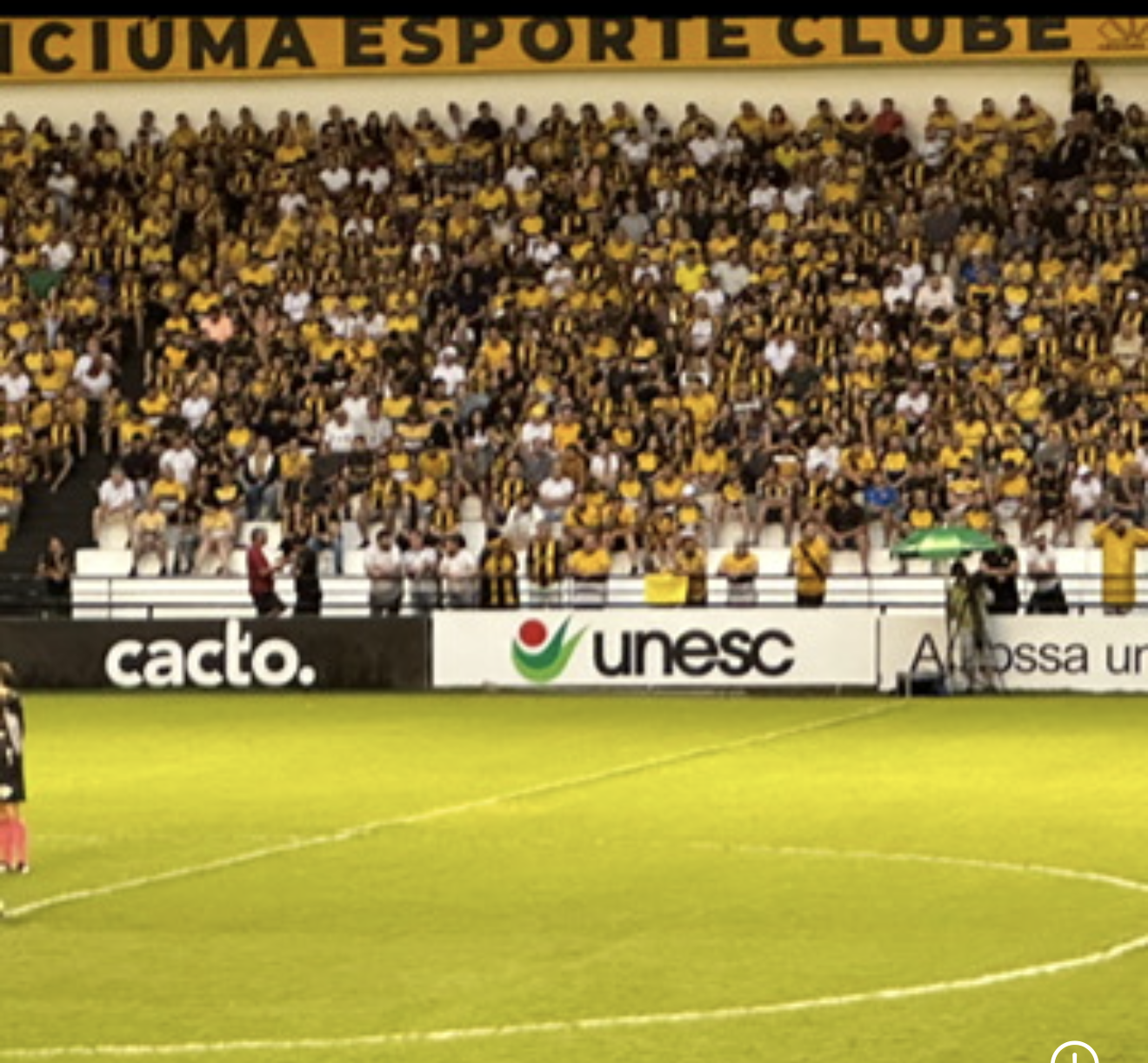 Cacto no estádio do Criciúma Esporte Clube